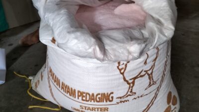Pupuk Bersubsidi Dijual 250 Ribu Perkarung, Wadah di Ganti Dengan Karung Bekas Pakan Ternak